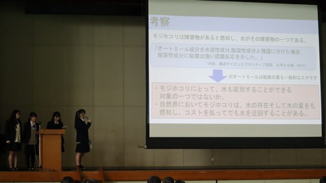 理数探究校内発表会で素晴らしい発表！（理数科長のつぶやき）