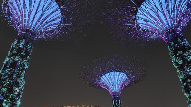 夕食と夜景鑑賞(海外方面)