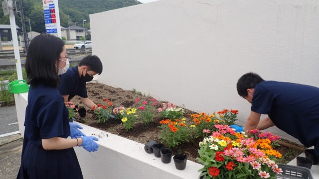 整美防災委員 校門の植栽を行いました。
